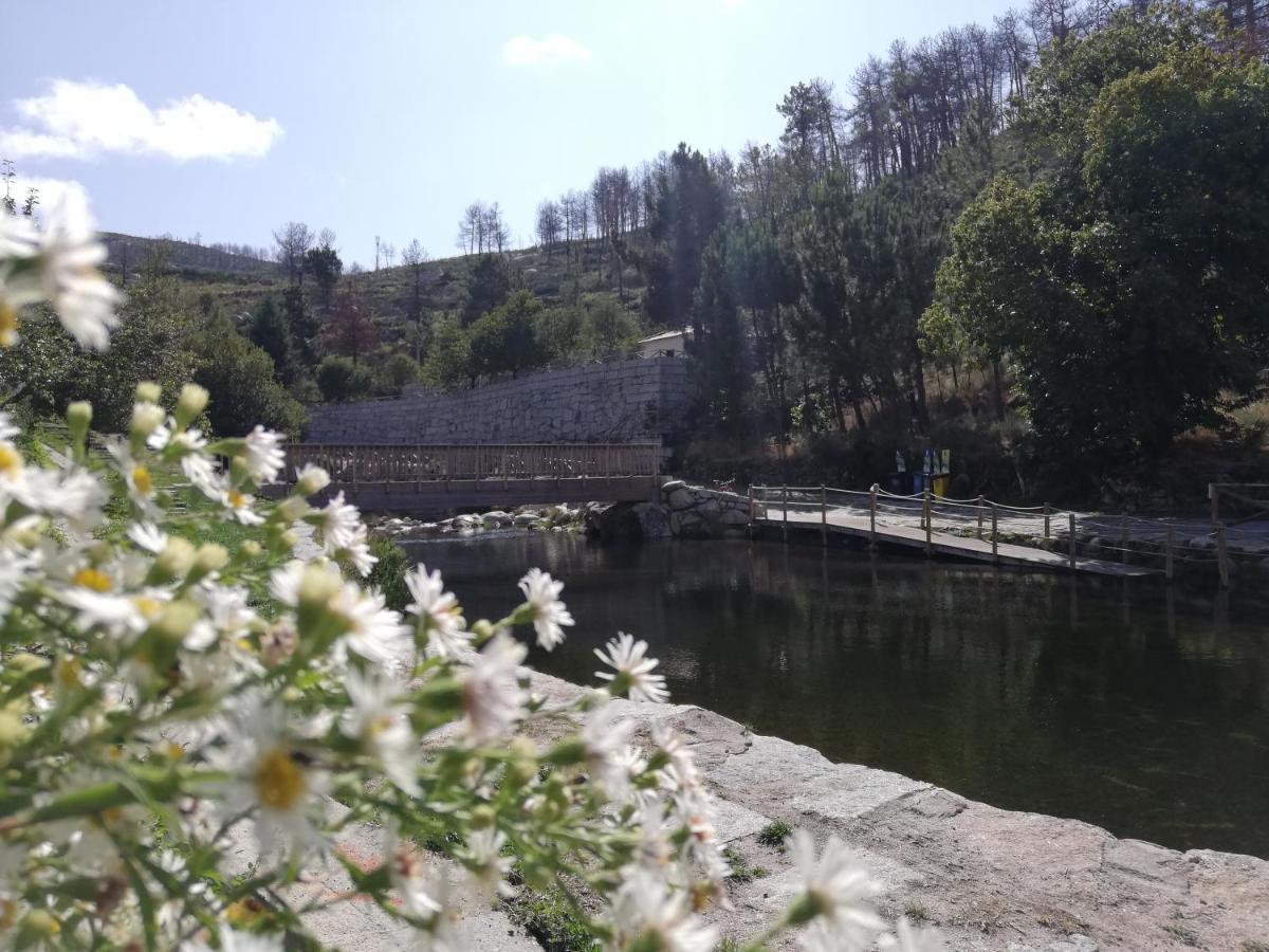 Sambuc'Asa - Serra Da Estrela Sabugueiro  Exterior foto