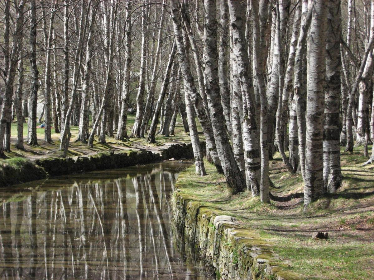 Sambuc'Asa - Serra Da Estrela Sabugueiro  Exterior foto